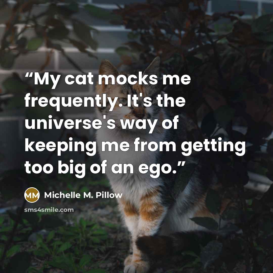 “My cat mocks me frequently. It's the universe's way of keeping me from getting too big of an ego.” quote by Michelle M. Pillow