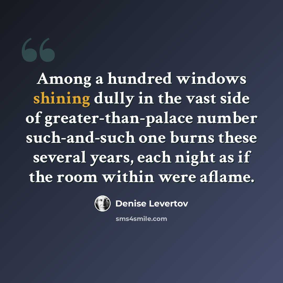 “Among a hundred windows shining dully in the vast side of greater-than-palace number such-and-such one burns these several years, each night as if the room within were aflame.” quote by Denise Levertov