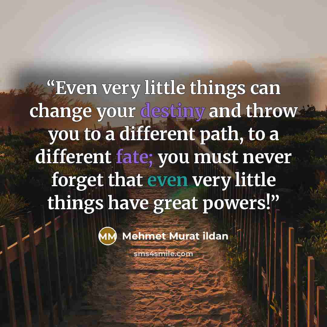 “Even very little things can change your destiny and throw you to a different path, to a different fate; you must never forget that even very little things have great powers!” quote by Mehmet Murat ildan
