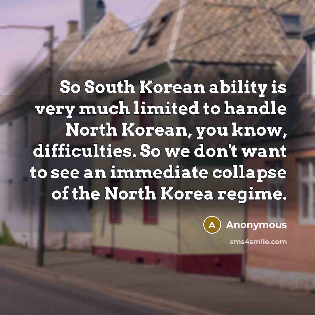 “So South Korean ability is very much limited to handle North Korean, you know, difficulties. So we don't want to see an immediate collapse of the North Korea regime.” quote by Anonymous
