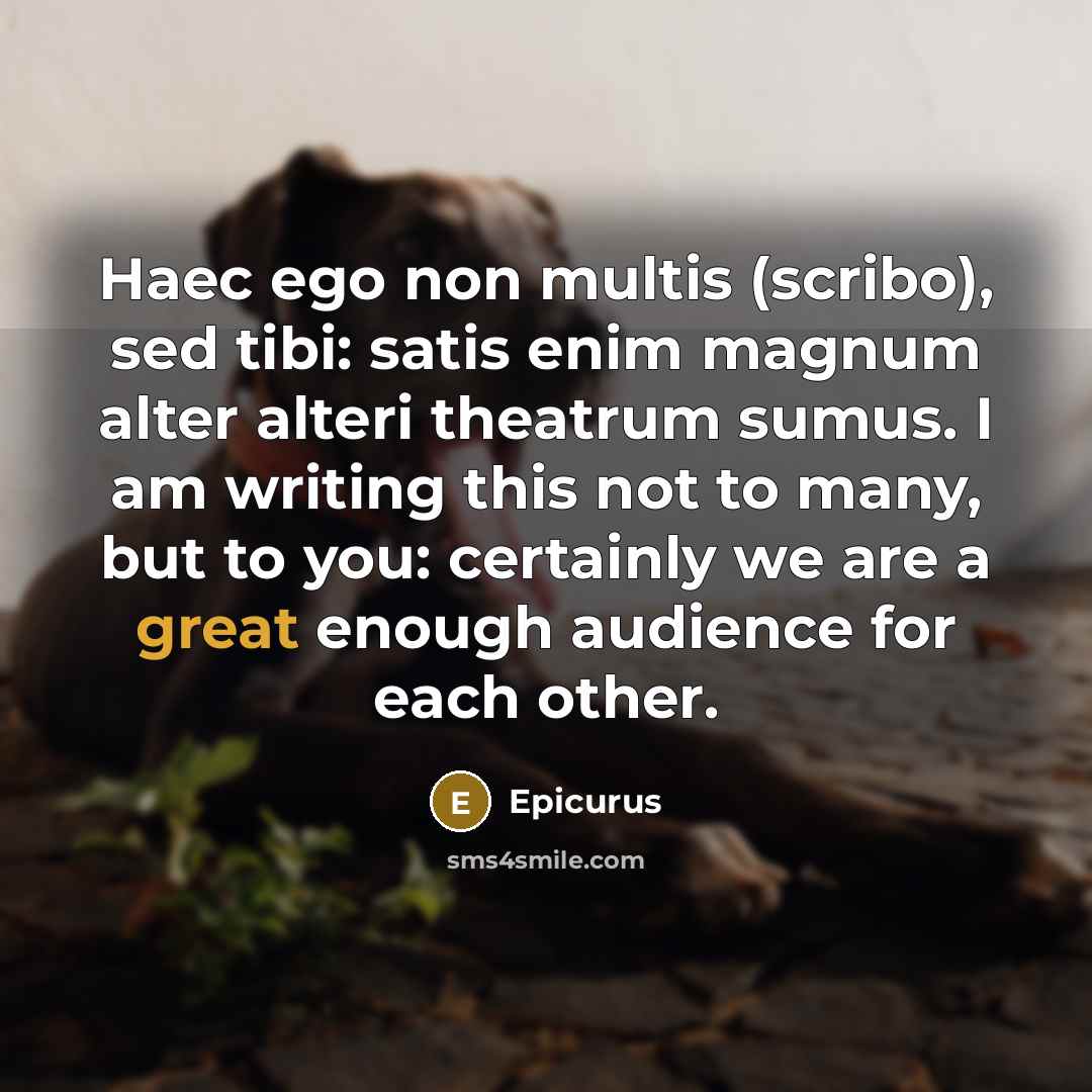 “Haec ego non multis (scribo), sed tibi: satis enim magnum alter alteri theatrum sumus. I am writing this not to many, but to you: certainly we are a great enough audience for each other.” quote by Epicurus
