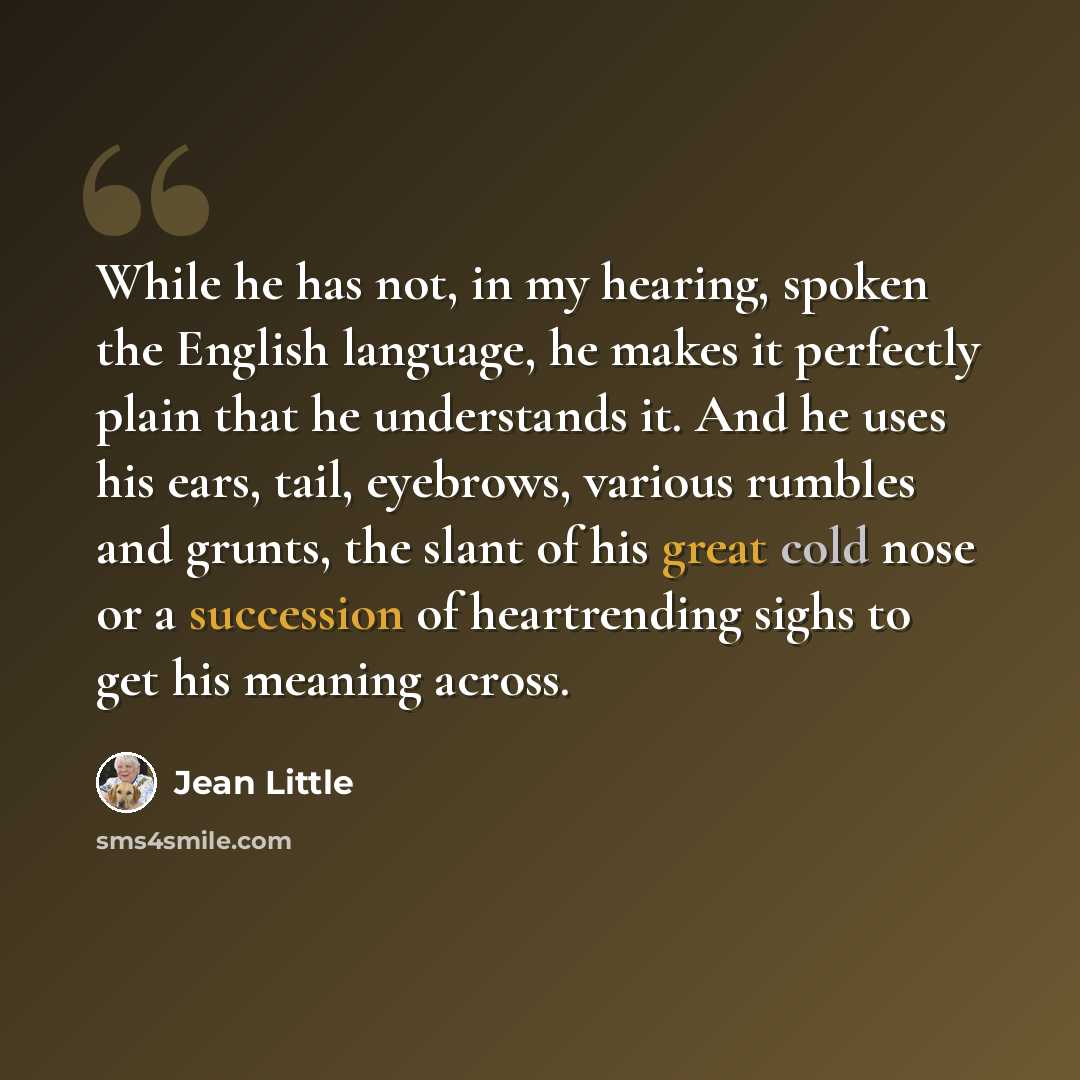 “While he has not, in my hearing, spoken the English language, he makes it perfectly plain that he understands it. And he uses his ears, tail, eyebrows, various rumbles and grunts, the slant of his great cold nose or a succession of heartrending sighs to get his meaning across.” quote by Jean Little