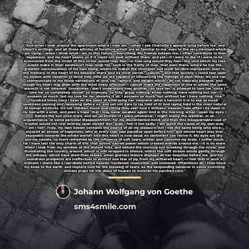 “And when I look around the apartment where I now am,—when I see Charlotte’s apparel lying before me, and Albert’s writings, and all those articles of furniture which are so familiar to me, even to the very inkstand which I am using,—when I think what I am to this family—everything. My friends…” quote by Johann Wolfgang von Goethe