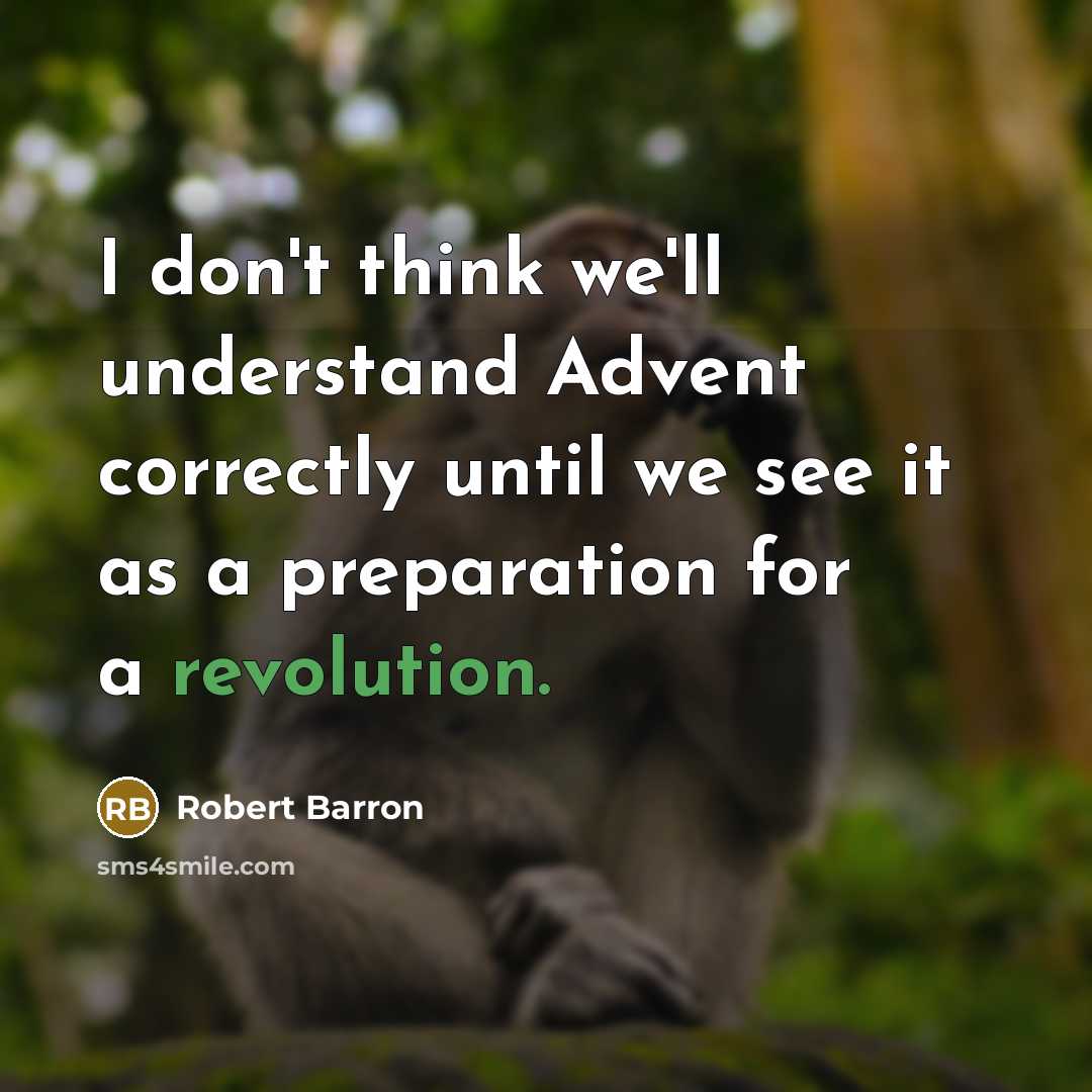 “I don't think we'll understand Advent correctly until we see it as a preparation for a revolution.” quote by Robert Barron