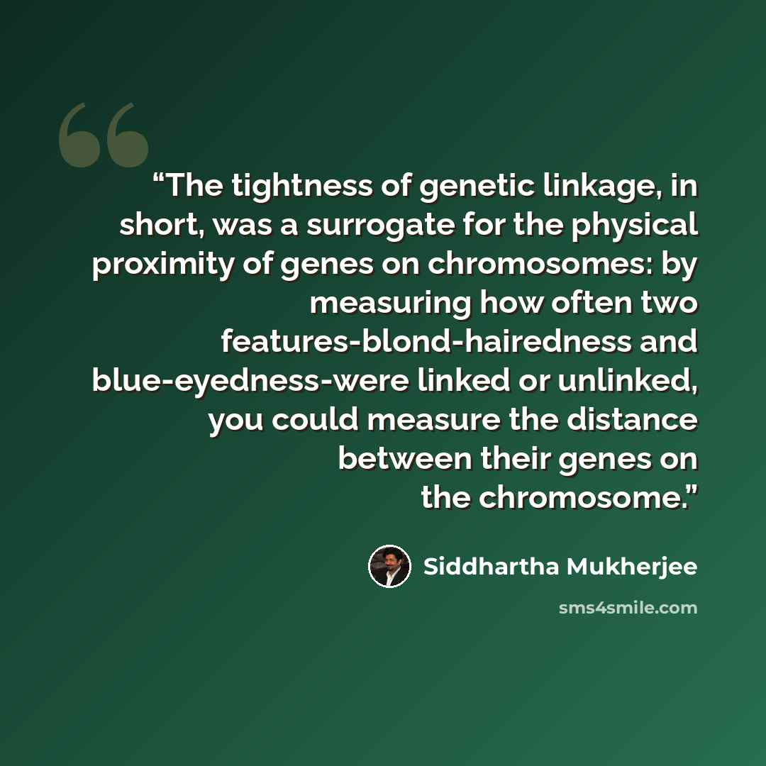 “The tightness of genetic linkage, in short, was a surrogate for the physical proximity of genes on chromosomes: by measuring how often two features-blond-hairedness and blue-eyedness-were linked or unlinked, you could measure the distance between their genes on the chromosome.” quote by Siddhartha Mukherjee