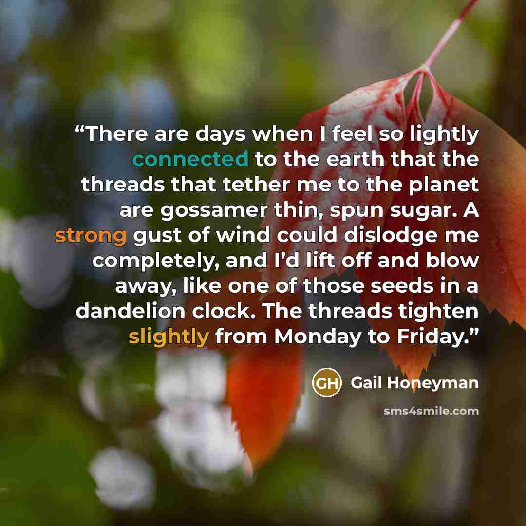 “There are days when I feel so lightly connected to the earth that the threads that tether me to the planet are gossamer thin, spun sugar. A strong gust of wind could dislodge me completely, and I’d lift off and blow away, like one of those seeds in a dandelion clock. The threads tighten slightly…” quote by Gail Honeyman