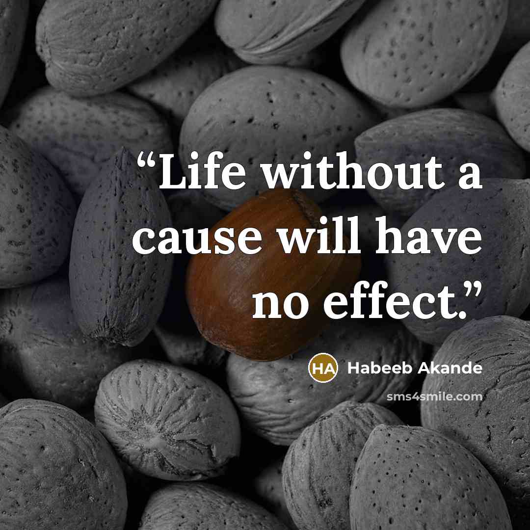 “Life without a cause will have no effect.” quote by Habeeb Akande