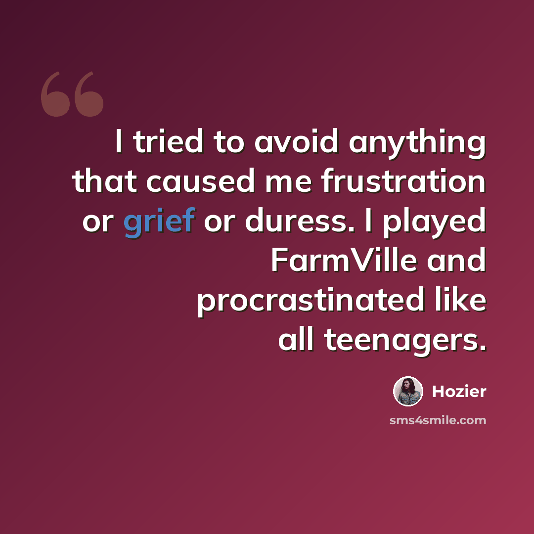 “I tried to avoid anything that caused me frustration or grief or duress. I played FarmVille and procrastinated like all teenagers.” quote by Hozier