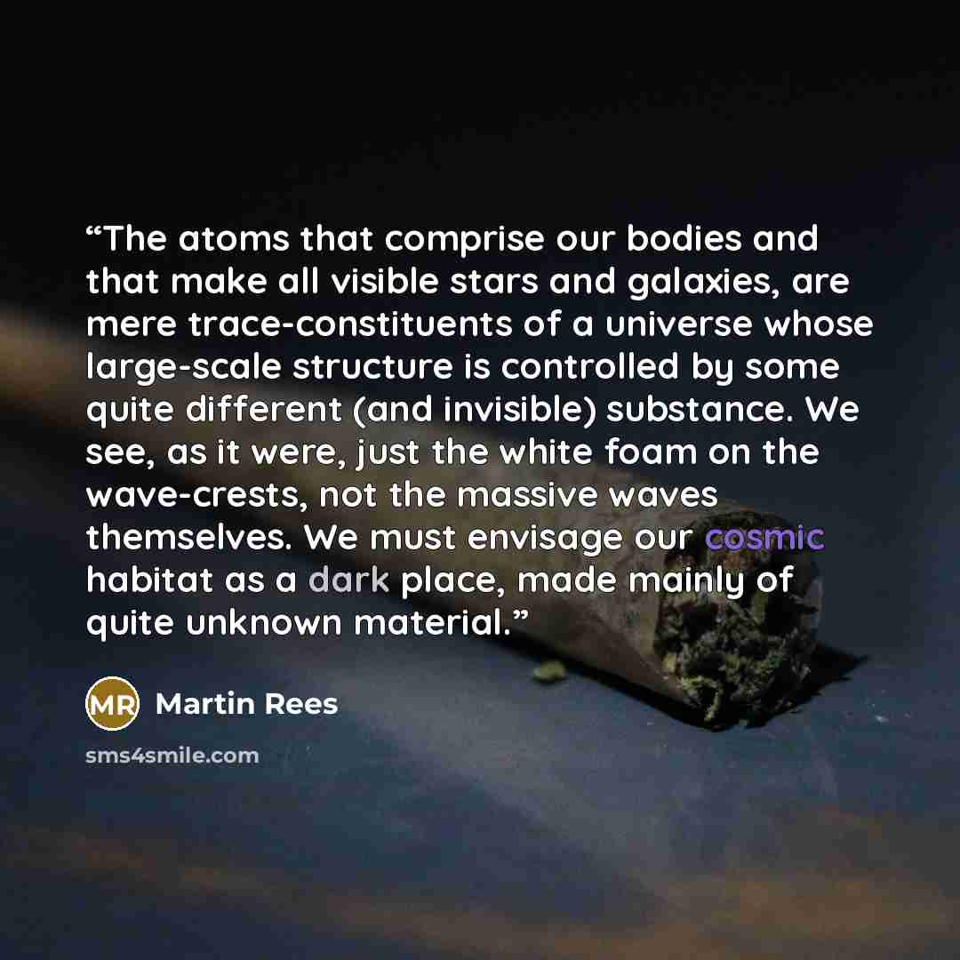 “The atoms that comprise our bodies and that make all visible stars and galaxies, are mere trace-constituents of a universe whose large-scale structure is controlled by some quite different (and invisible) substance. We see, as it were, just the white foam on the wave-crests, not the massive waves…” quote by Martin Rees