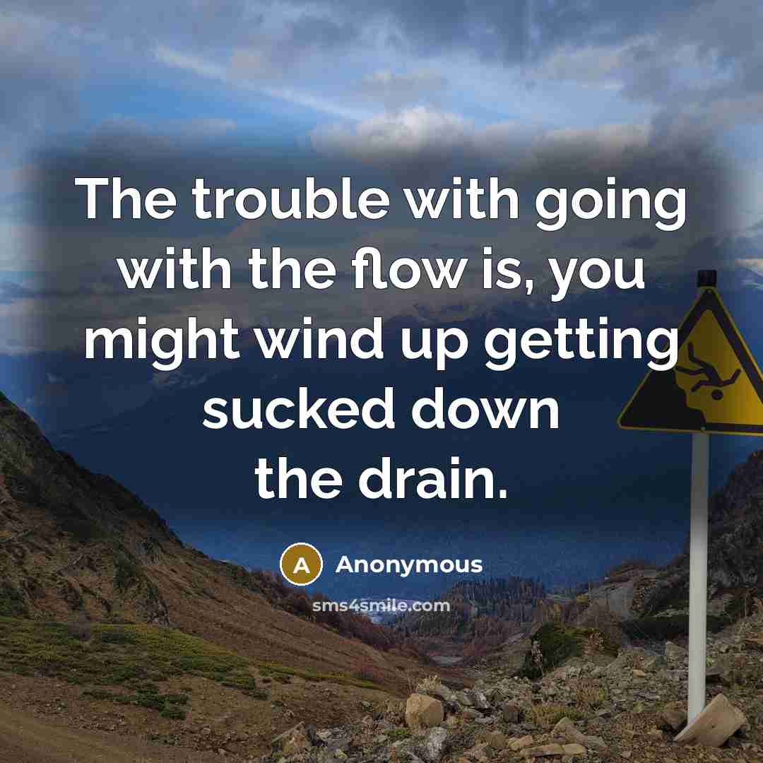 “The trouble with going with the flow is, you might wind up getting sucked down the drain.” quote by Anonymous