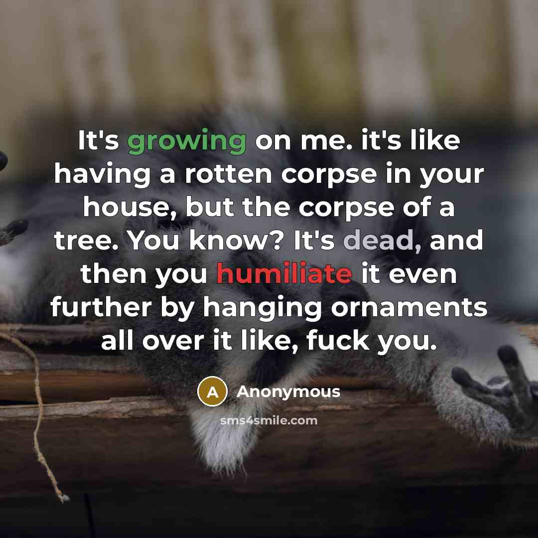 “It's growing on me. it's like having a rotten corpse in your house, but the corpse of a tree. You know? It's dead, and then you humiliate it even further by hanging ornaments all over it like, fuck you.” quote by Anonymous