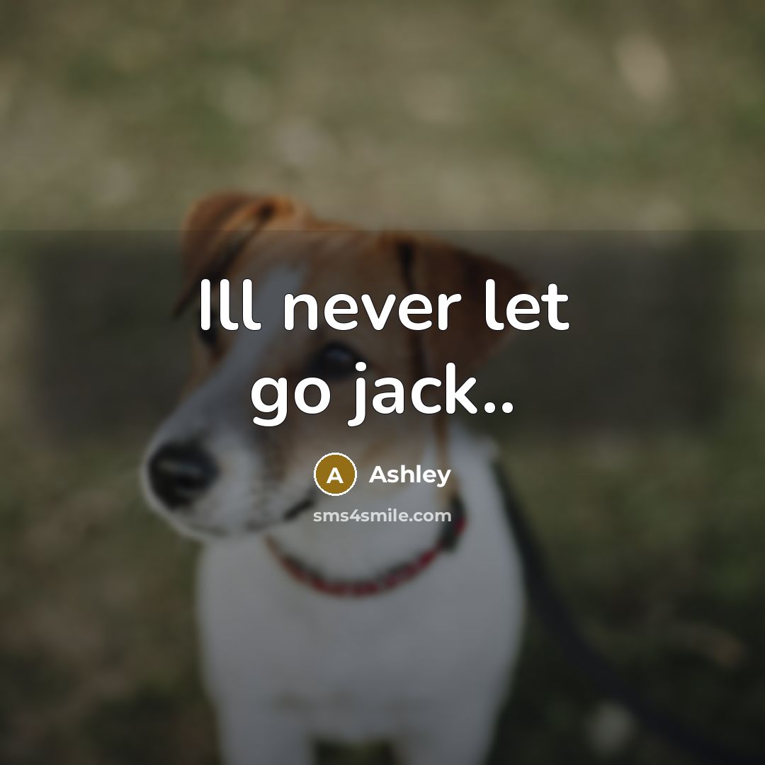 “Ill never let go jack..” quote by Ashley