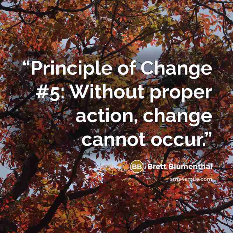 “Principle of Change #5: Without proper action, change cannot occur.” quote by Brett Blumenthal