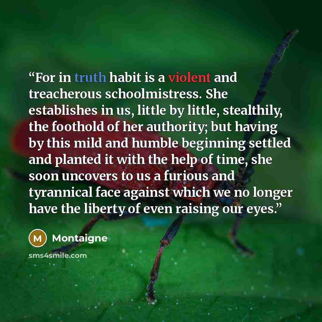 “For in truth habit is a violent and treacherous schoolmistress. She establishes in us, little by little, stealthily, the foothold of her authority; but having by this mild and humble beginning settled and planted it with the help of time, she soon uncovers to us a furious and tyrannical face…” quote by MONTAIGNE