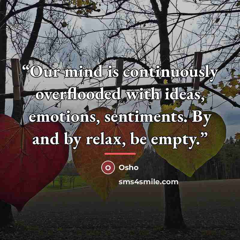 “Our mind is continuously overflooded with ideas, emotions, sentiments. By and by relax, be empty.” quote by Osho