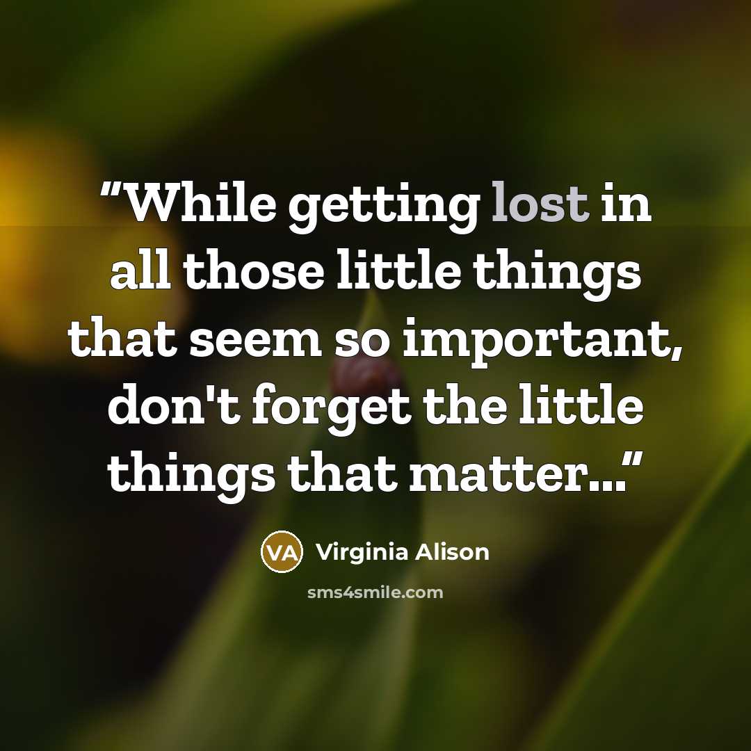 “While getting lost in all those little things that seem so important, don't forget the little things that matter...” quote by Virginia Alison