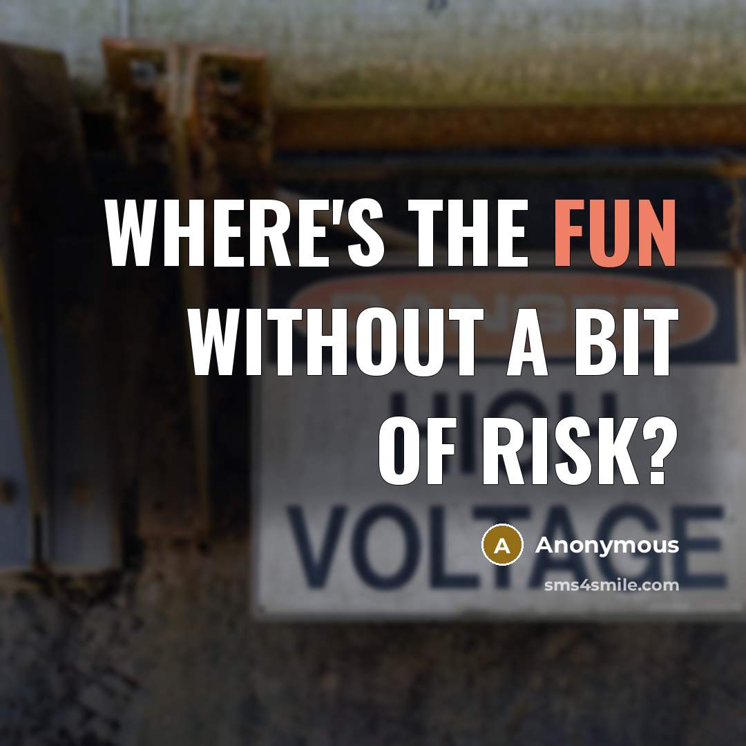 “Where's the fun without a bit of risk?” quote by Anonymous