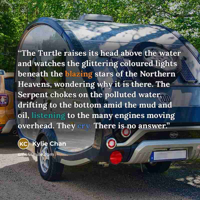 “The Turtle raises its head above the water and watches the glittering coloured lights beneath the blazing stars of the Northern Heavens, wondering why it is there. The Serpent chokes on the polluted water, drifting to the bottom amid the mud and oil, listening to the many engines moving overhead…” quote by Kylie Chan