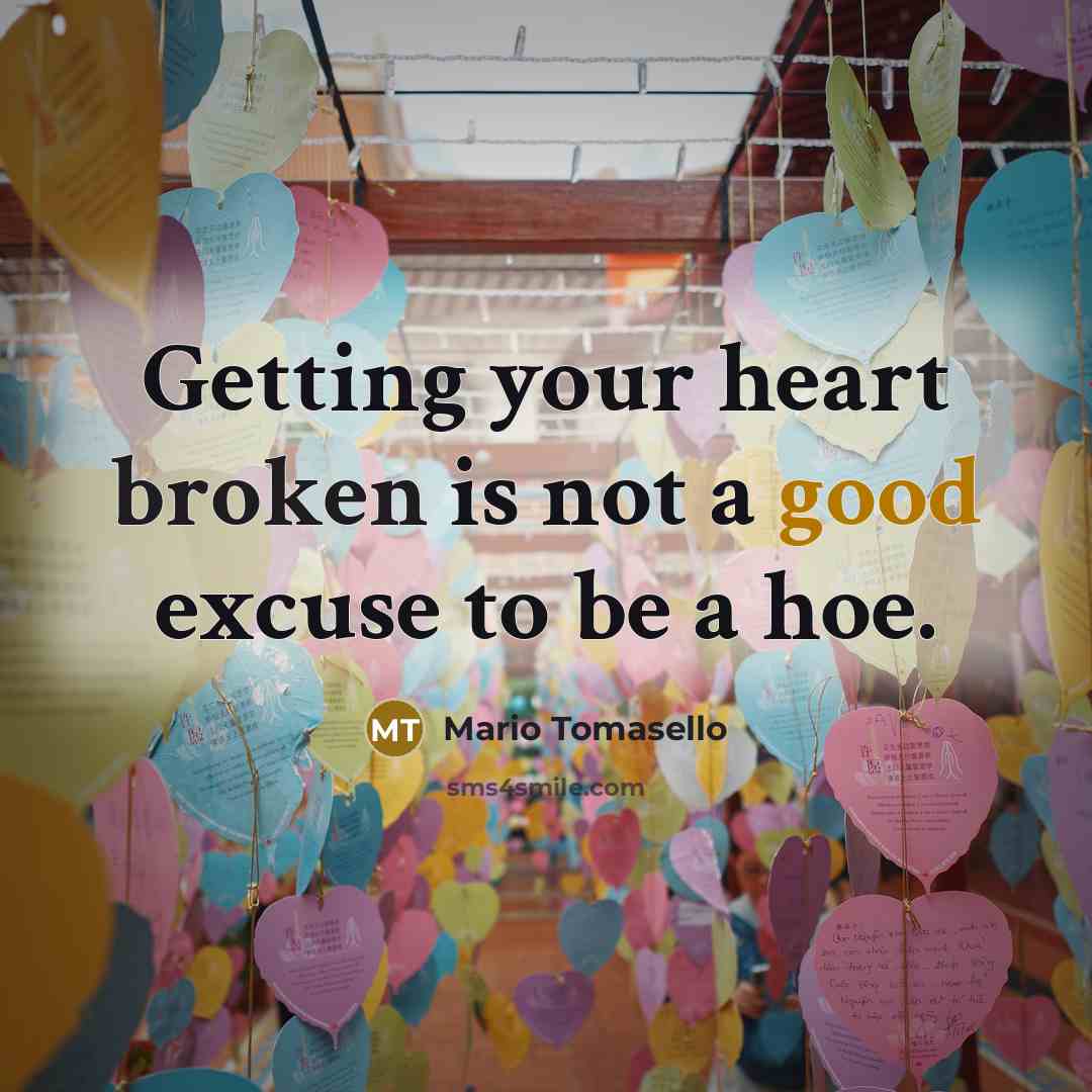 “Getting your heart broken is not a good excuse to be a hoe.” quote by Mario Tomasello