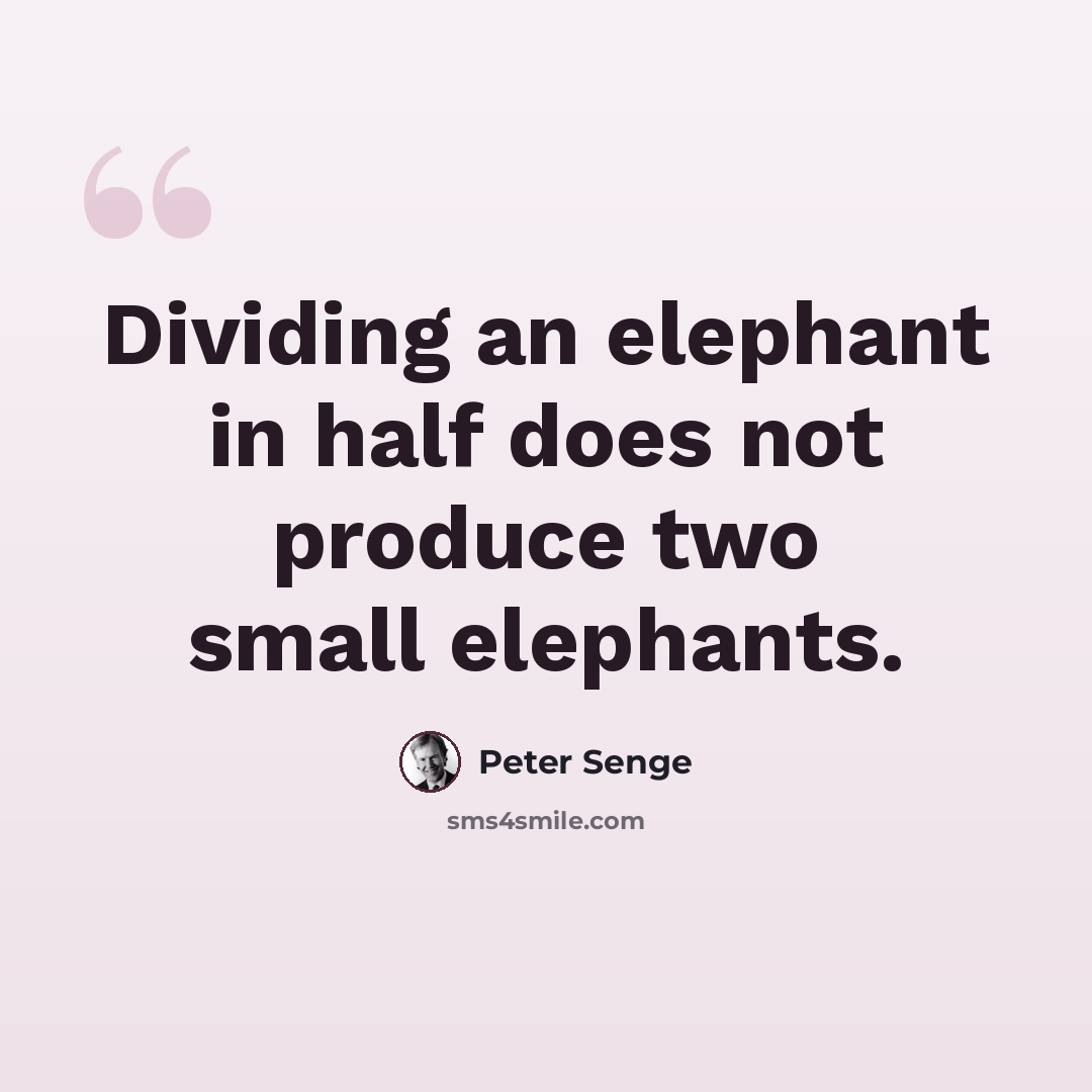 “Dividing an elephant in half does not produce two small elephants.” quote by Peter Senge