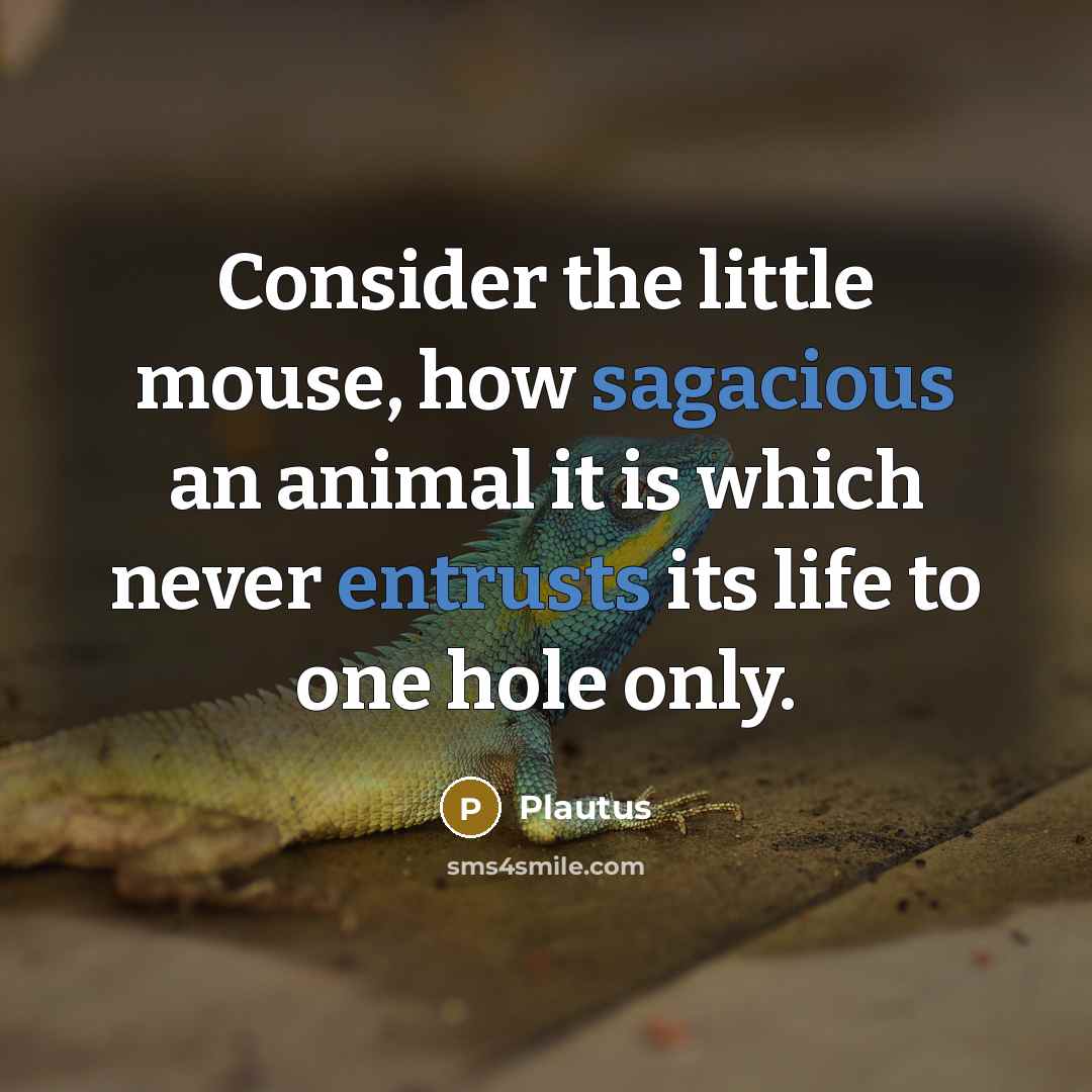 “Consider the little mouse, how sagacious an animal it is which never entrusts its life to one hole only.” quote by Plautus