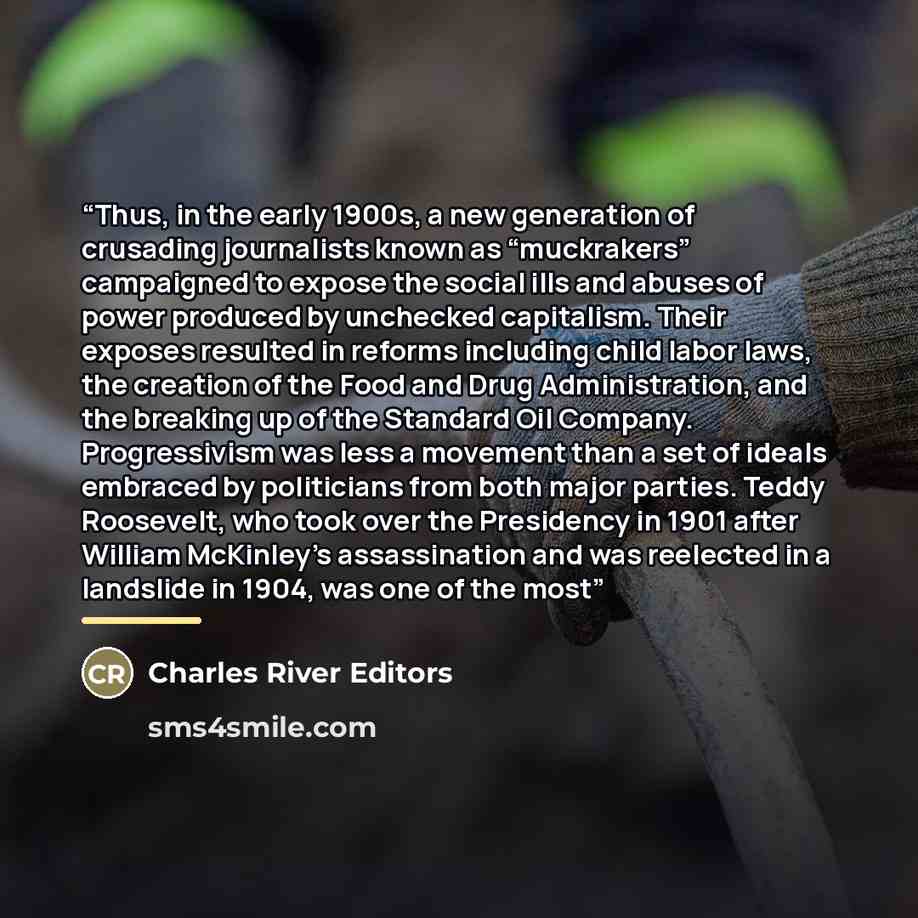 “Thus, in the early 1900s, a new generation of crusading journalists known as “muckrakers” campaigned to expose the social ills and abuses of power produced by unchecked capitalism. Their exposes resulted in reforms including child labor laws, the creation of the Food and Drug Administration, and…” quote by Charles River Editors