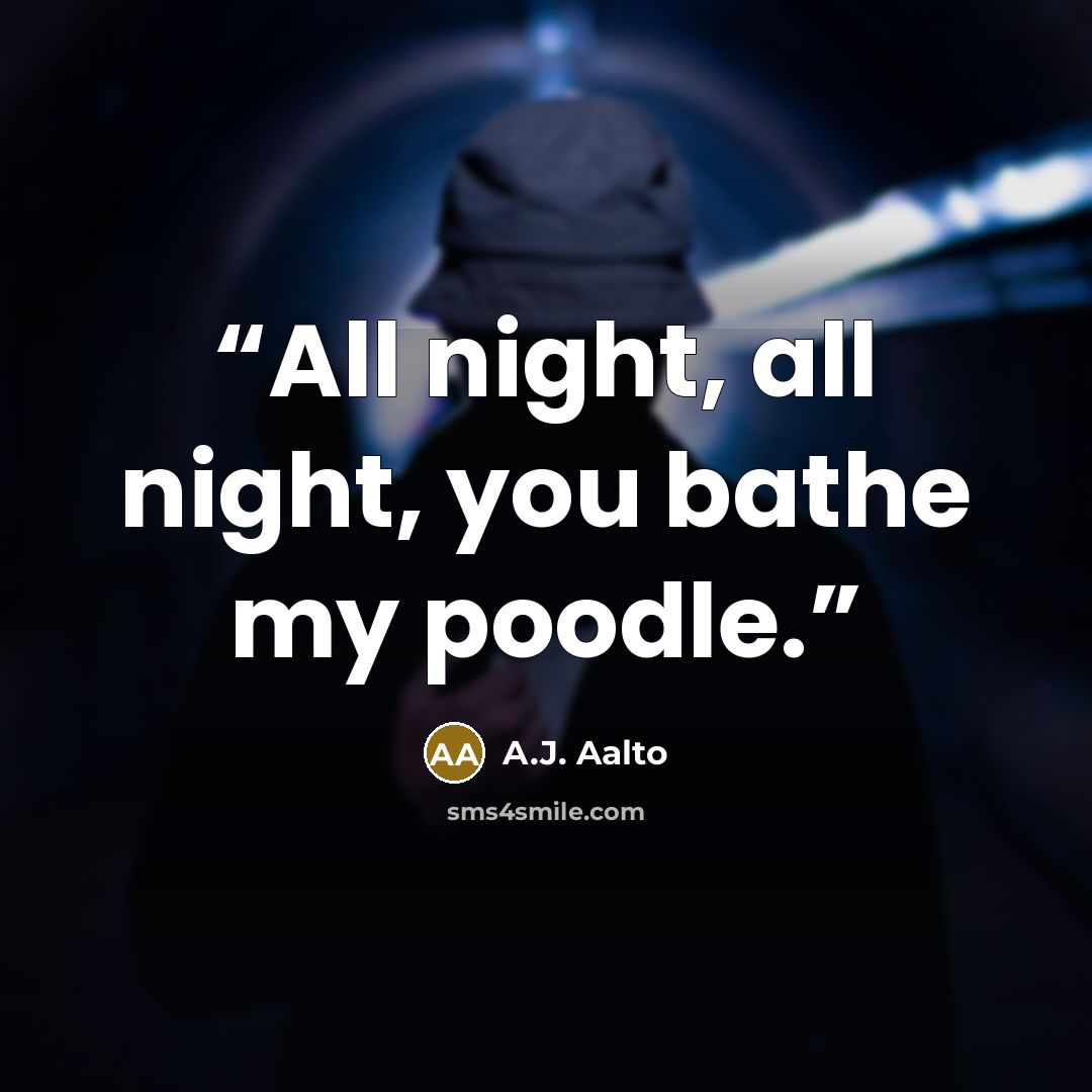 “All night, all night, you bathe my poodle.” quote by A.J. Aalto