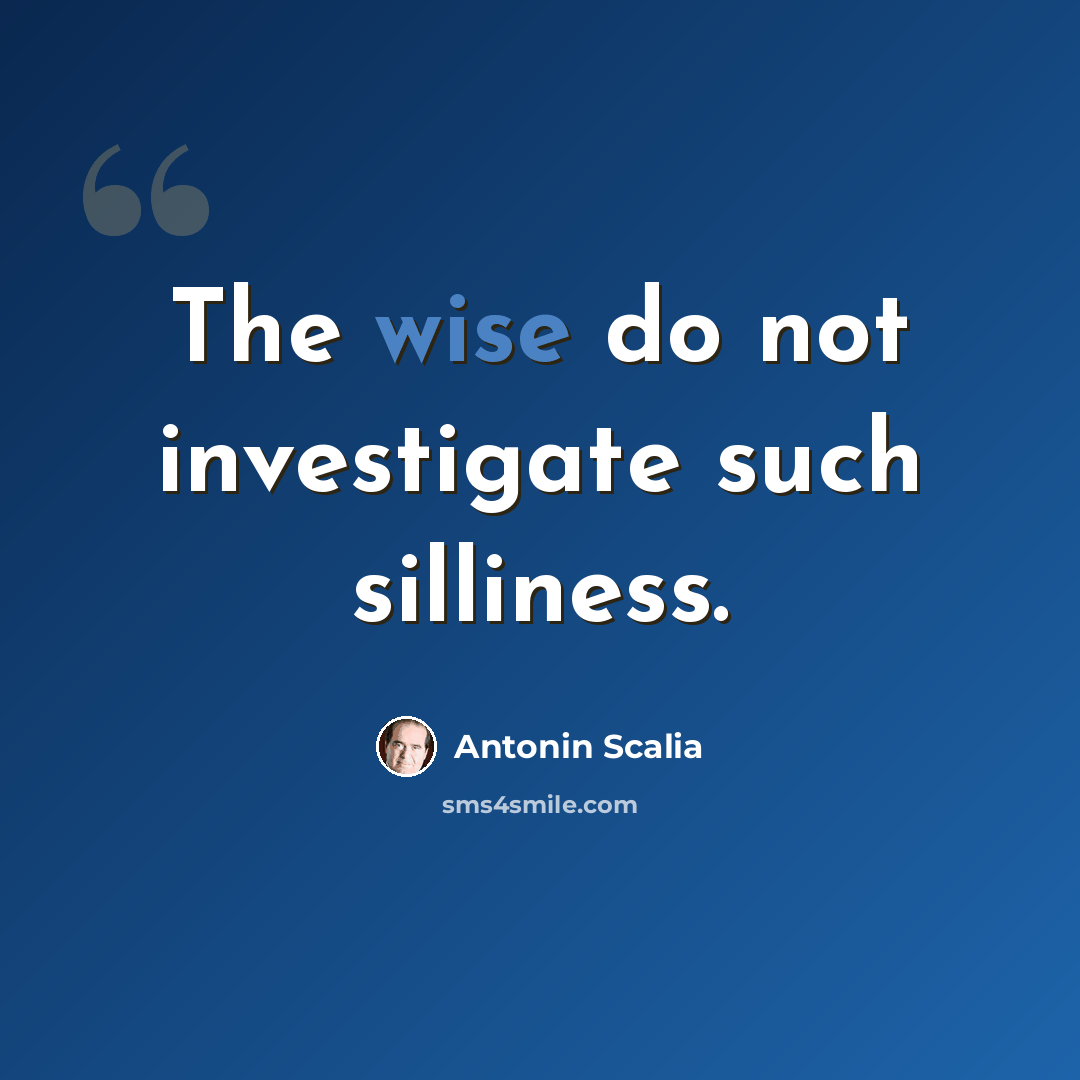 “The wise do not investigate such silliness.” quote by Antonin Scalia