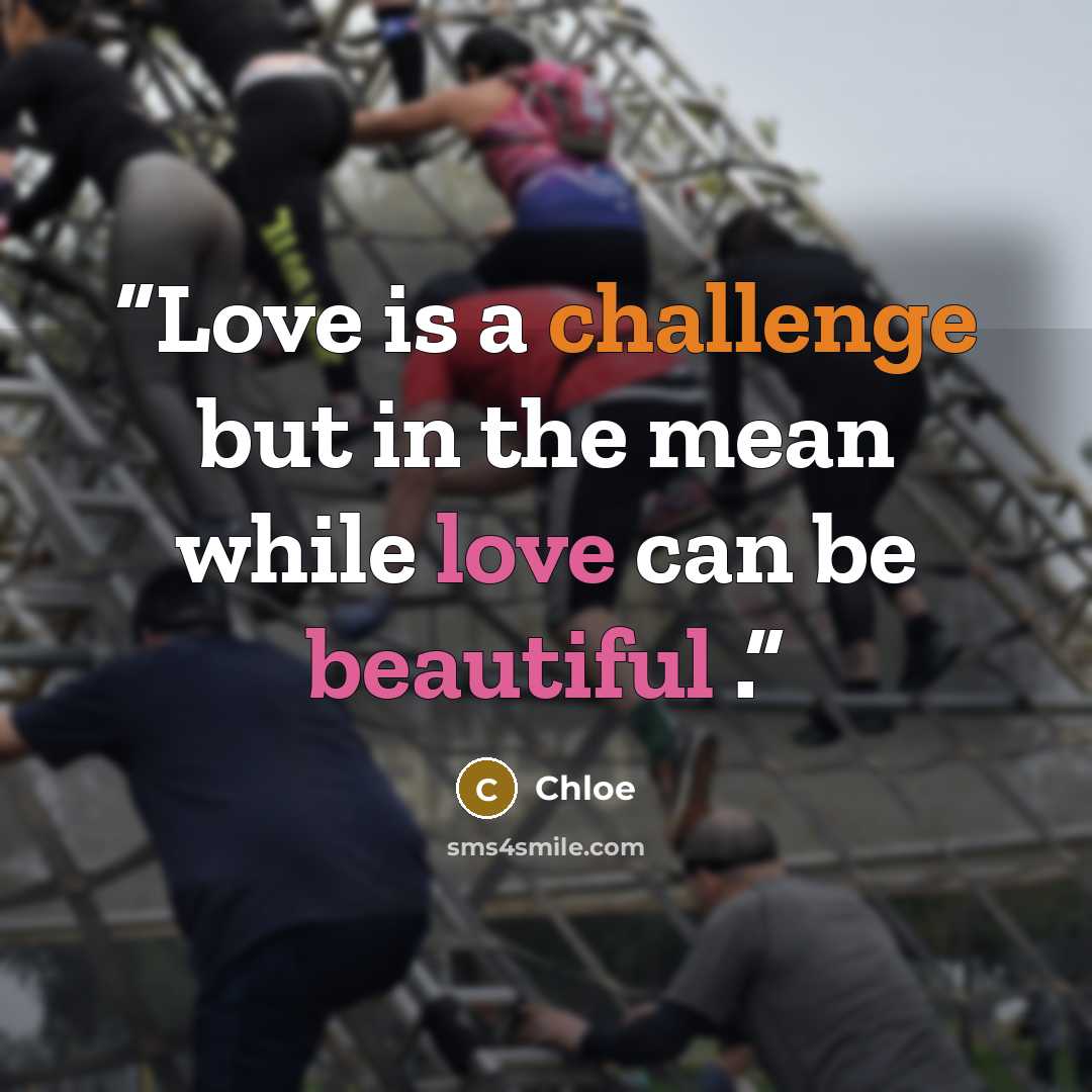 “Love is a challenge but in the mean while love can be beautiful .” quote by chloe