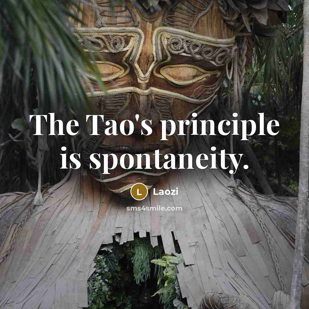 “The Tao's principle is spontaneity.” quote by Laozi