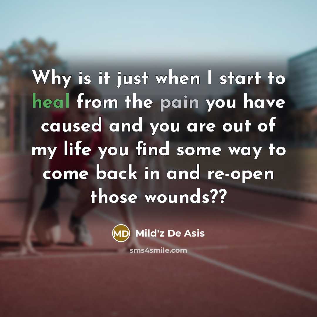 “Why is it just when I start to heal from the pain you have caused and you are out of my life you find some way to come back in and re-open those wounds??” quote by Mild'z De Asis