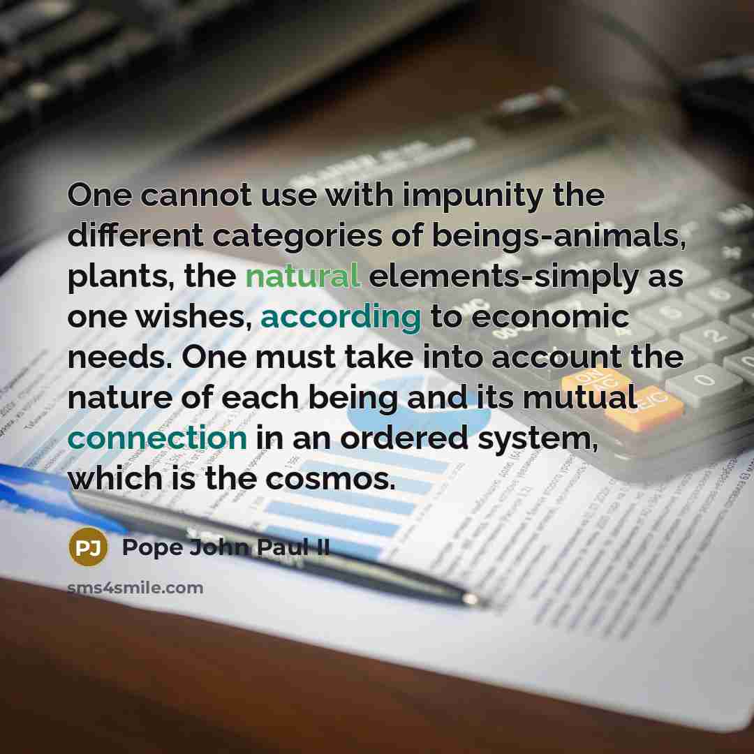“One cannot use with impunity the different categories of beings-animals, plants, the natural elements-simply as one wishes, according to economic needs. One must take into account the nature of each being and its mutual connection in an ordered system, which is the cosmos.” quote by Pope John Paul II
