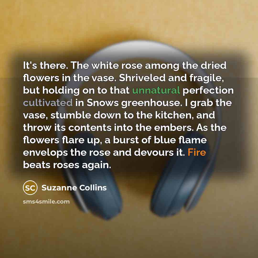 “It's there. The white rose among the dried flowers in the vase. Shriveled and fragile, but holding on to that unnatural perfection cultivated in Snows greenhouse. I grab the vase, stumble down to the kitchen, and throw its contents into the embers. As the flowers flare up, a burst of blue flame…” quote by Suzanne Collins