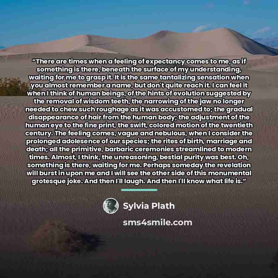 “There are times when a feeling of expectancy comes to me, as if something is there, beneath the surface of my understanding, waiting for me to grasp it. It is the same tantalizing sensation when you almost remember a name, but don't quite reach it. I can feel it when I think of human beings, of…” quote by Sylvia Plath