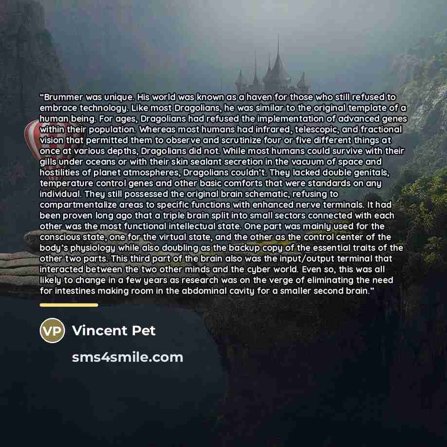 “Brummer was unique. His world was known as a haven for those who still refused to embrace technology. Like most Dragolians, he was similar to the original template of a human being. For ages, Dragolians had refused the implementation of advanced genes within their population. Whereas most humans…” quote by Vincent Pet