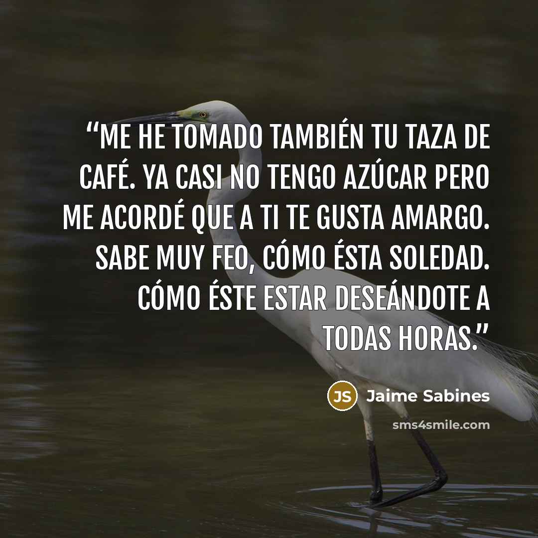 “Me he tomado también tu taza de café. Ya casi no tengo azúcar pero me acordé que a ti te gusta amargo. Sabe muy feo, cómo ésta soledad. Cómo éste estar deseándote a todas horas.” quote by Jaime Sabines