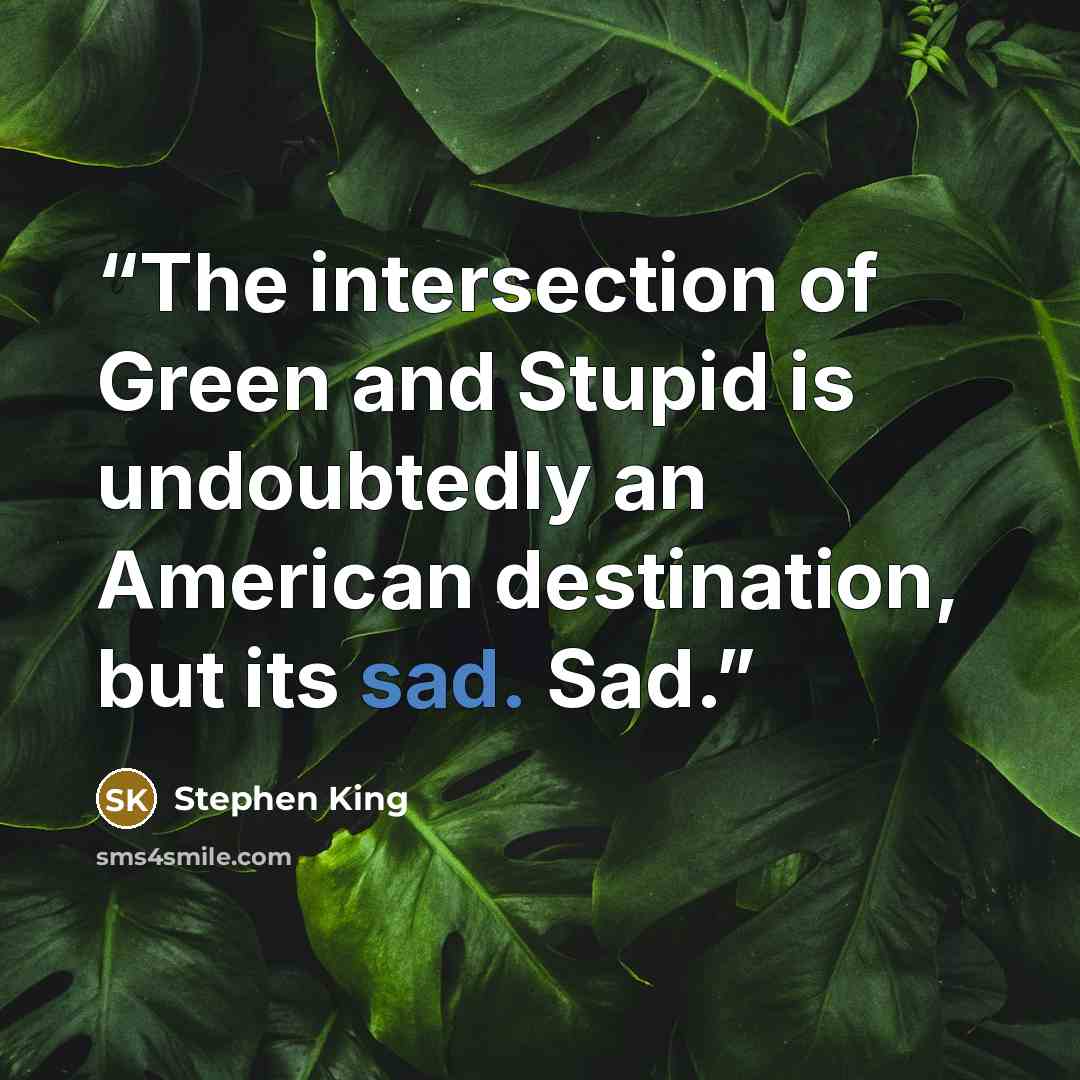 “The intersection of Green and Stupid is undoubtedly an American destination, but its sad. Sad.” quote by Stephen King