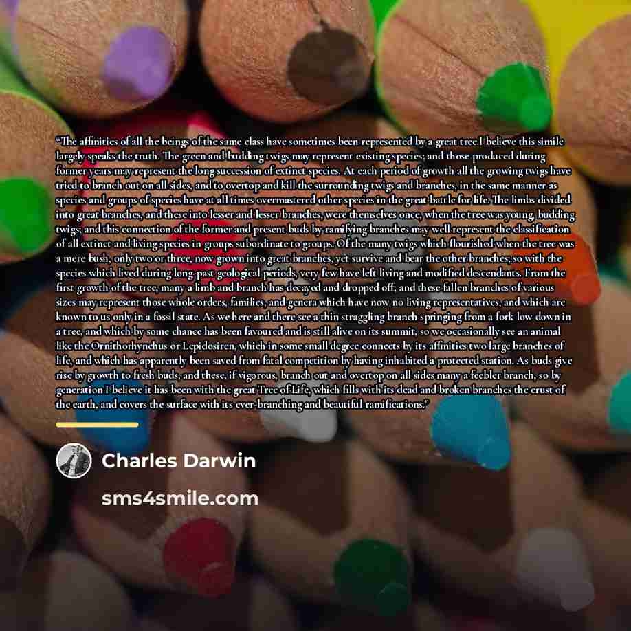 “The affinities of all the beings of the same class have sometimes been represented by a great tree.I believe this simile largely speaks the truth. The green and budding twigs may represent existing species; and those produced during former years may represent the long succession of extinct…” quote by Charles Darwin