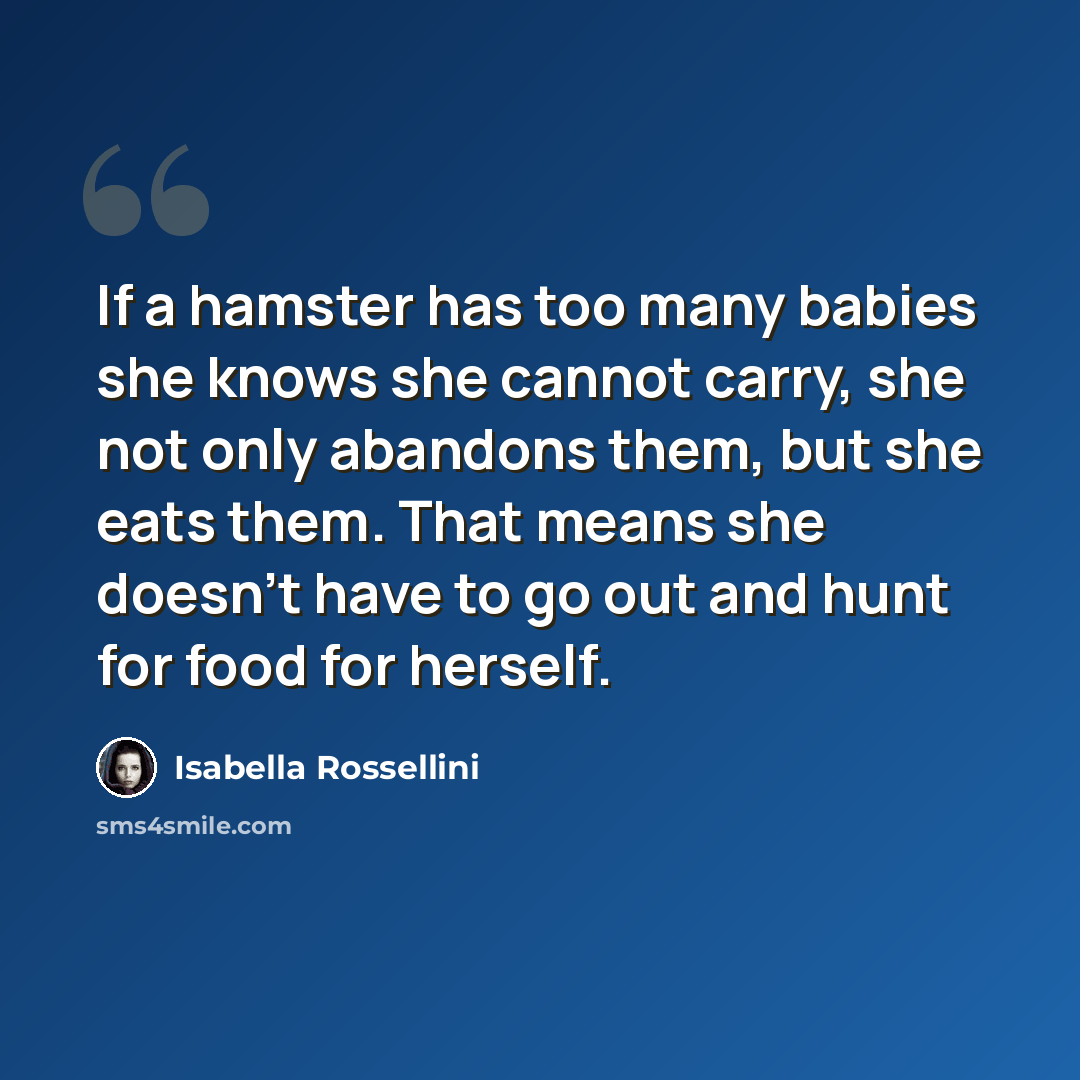 “If a hamster has too many babies she knows she cannot carry, she not only abandons them, but she eats them. That means she doesn't have to go out and hunt for food for herself.” quote by Isabella Rossellini