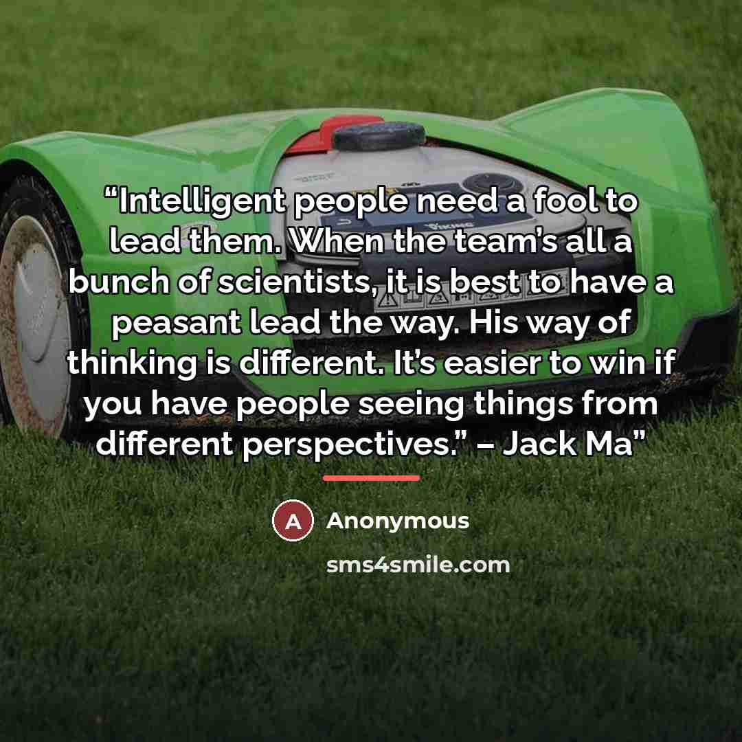 “Intelligent people need a fool to lead them. When the team’s all a bunch of scientists, it is best to have a peasant lead the way. His way of thinking is different. It’s easier to win if you have people seeing things from different perspectives.” – Jack Ma” quote by Anonymous