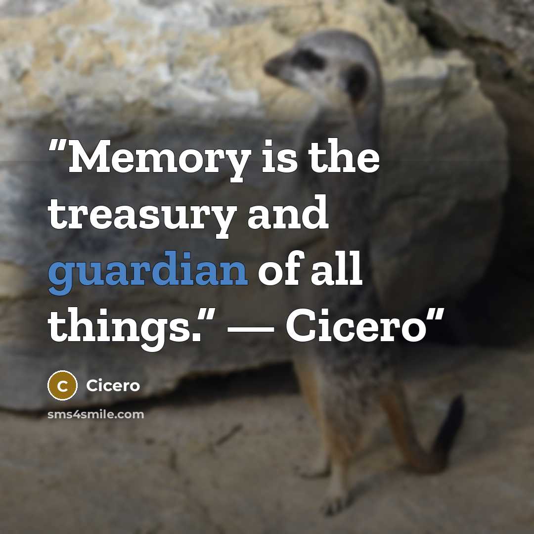 “Memory is the treasury and guardian of all things.” — Cicero” quote by Cicero