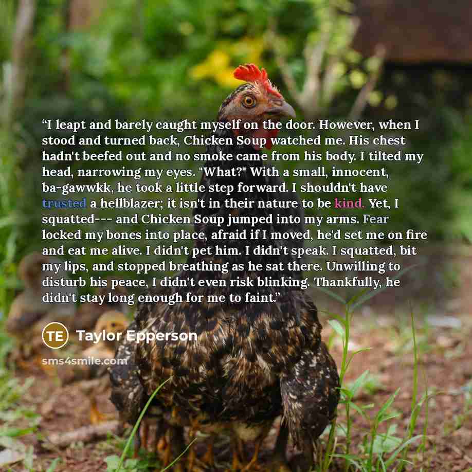 “I leapt and barely caught myself on the door. However, when I stood and turned back, Chicken Soup watched me. His chest hadn't beefed out and no smoke came from his body. I tilted my head, narrowing my eyes. "What?" With a small, innocent, ba-gawwkk, he took a little step forward. I shouldn't have…” quote by Taylor Epperson