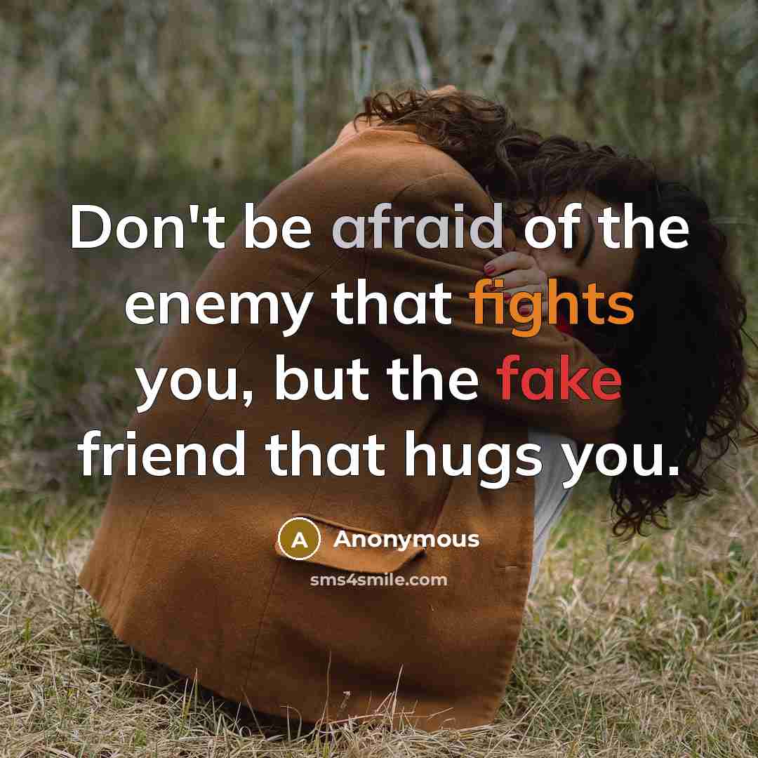 “Don't be afraid of the enemy that fights you, but the fake friend that hugs you.” quote by Anonymous