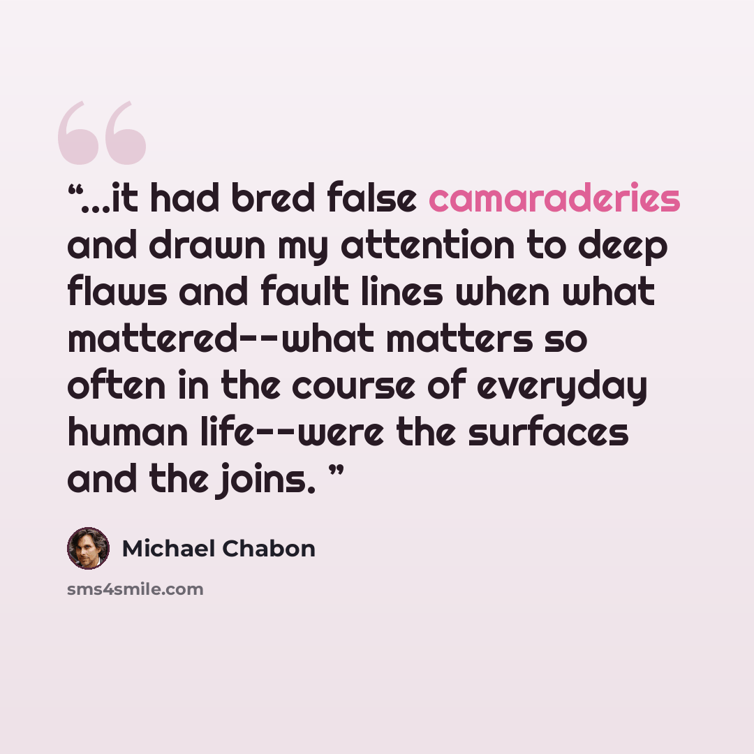 “...it had bred false camaraderies and drawn my attention to deep flaws and fault lines when what mattered--what matters so often in the course of everyday human life--were the surfaces and the joins.” quote by Michael Chabon
