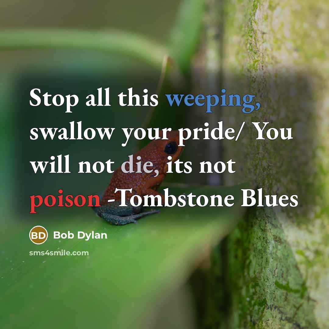 “Stop all this weeping, swallow your pride/ You will not die, its not poison -Tombstone Blues” quote by Bob Dylan