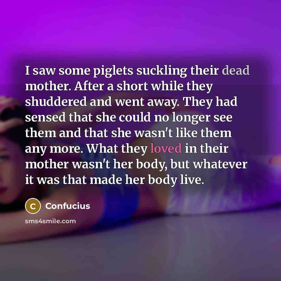“I saw some piglets suckling their dead mother. After a short while they shuddered and went away. They had sensed that she could no longer see them and that she wasn't like them any more. What they loved in their mother wasn't her body, but whatever it was that made her body live.” quote by Confucius