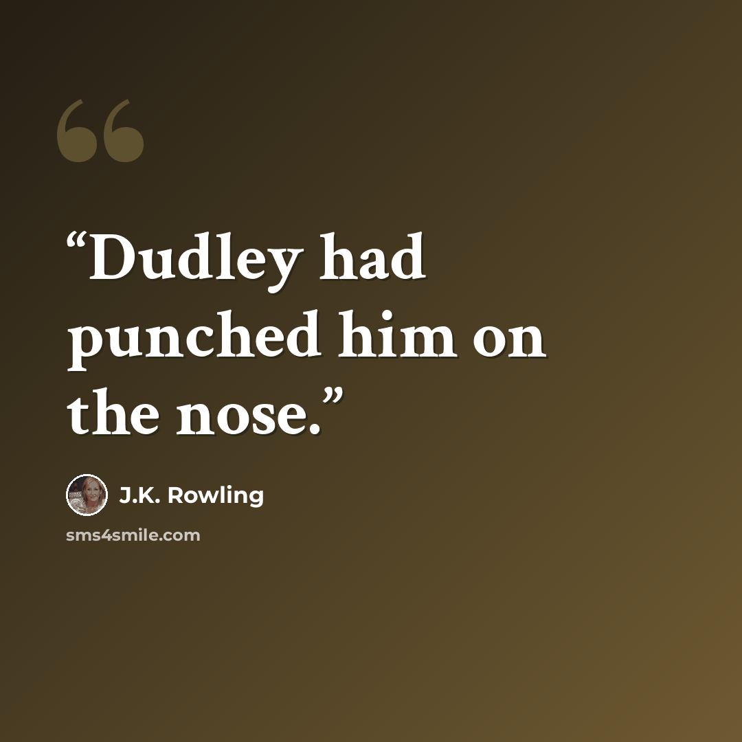 “Dudley had punched him on the nose.” quote by J.K. Rowling
