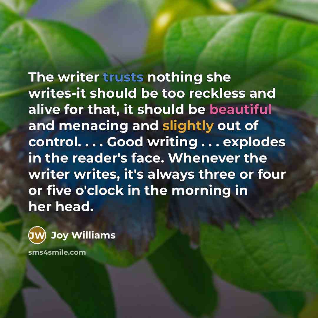 “The writer trusts nothing she writes-it should be too reckless and alive for that, it should be beautiful and menacing and slightly out of control. . . . Good writing . . . explodes in the reader's face. Whenever the writer writes, it's always three or four or five o'clock in the morning in her…” quote by Joy Williams