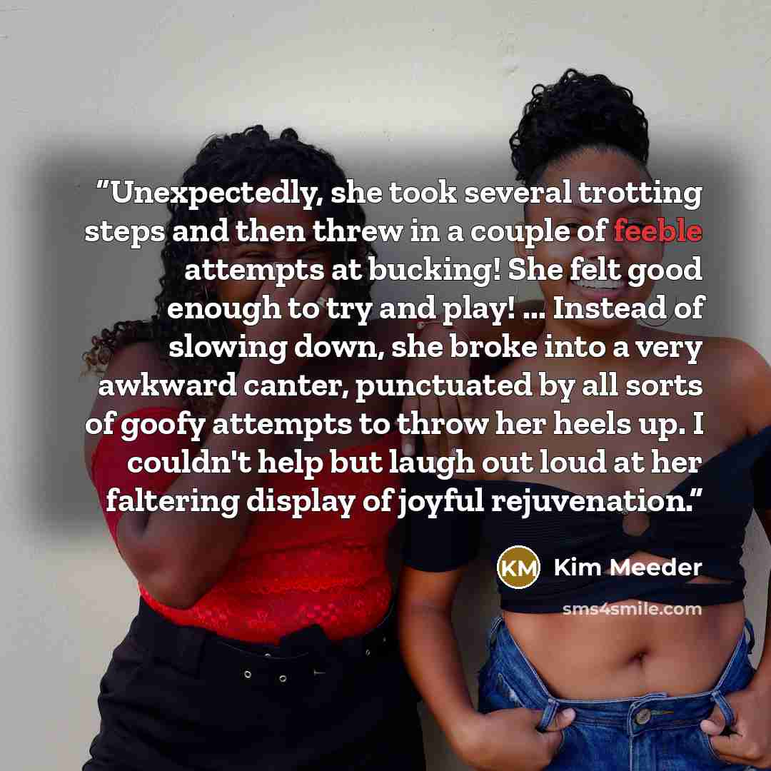 “Unexpectedly, she took several trotting steps and then threw in a couple of feeble attempts at bucking! She felt good enough to try and play! ... Instead of slowing down, she broke into a very awkward canter, punctuated by all sorts of goofy attempts to throw her heels up. I couldn't help but…” quote by Kim Meeder