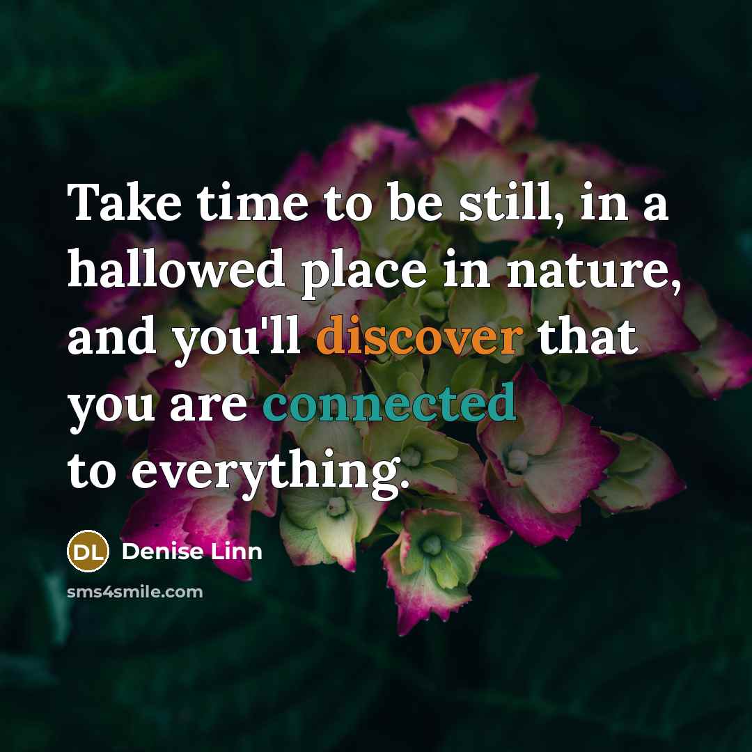 “Take time to be still, in a hallowed place in nature, and you'll discover that you are connected to everything.” quote by Denise Linn
